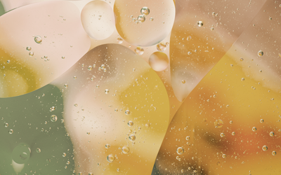 rodion-kutsaev-400×250